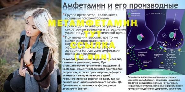 прущие грибы Медногорск