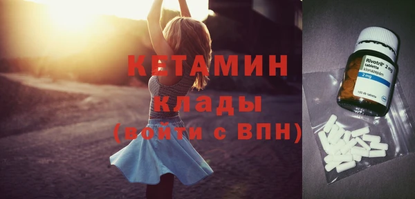 прущие грибы Медногорск
