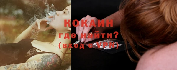 прущие грибы Медногорск