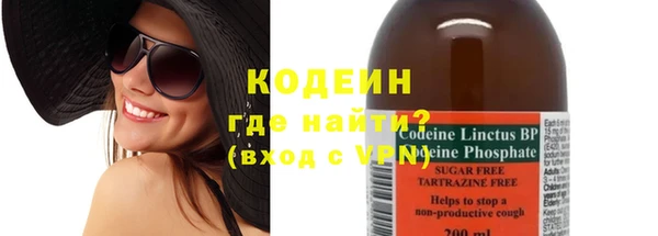 прущие грибы Медногорск