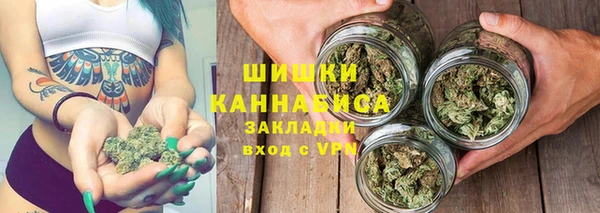 прущие грибы Медногорск