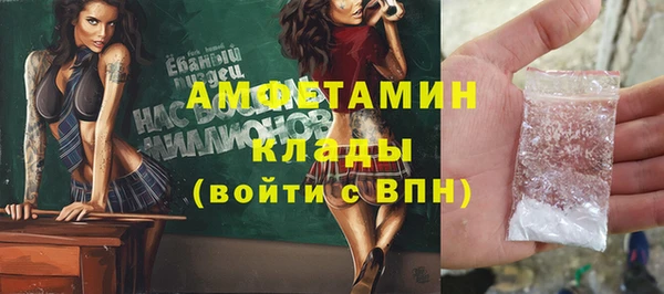 прущие грибы Медногорск