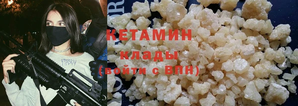 прущие грибы Медногорск