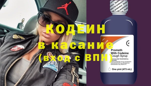 прущие грибы Медногорск