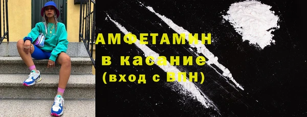 прущие грибы Медногорск