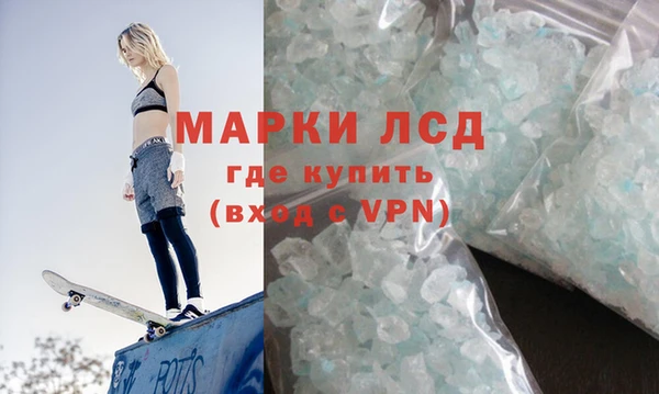 прущие грибы Медногорск