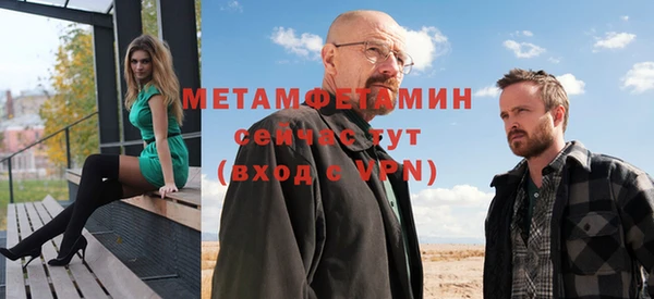 прущие грибы Медногорск